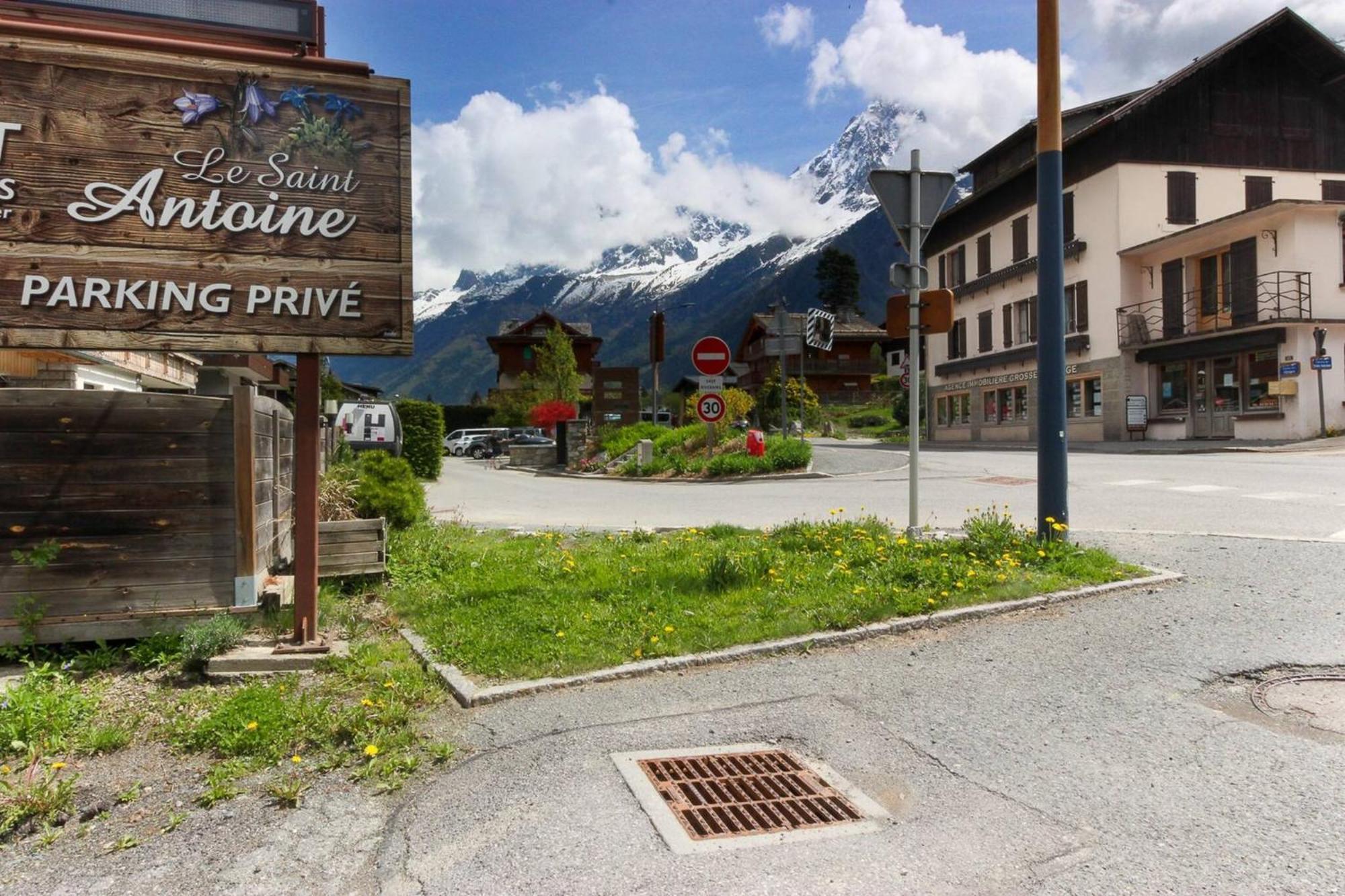 Les Dryades - Renove - Balcon Avec Vue Mt Blanc Les Houches Dış mekan fotoğraf