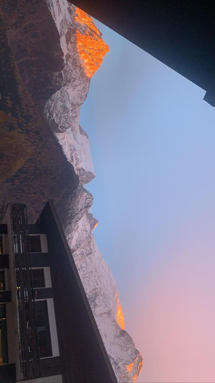 Les Dryades - Renove - Balcon Avec Vue Mt Blanc Les Houches Dış mekan fotoğraf